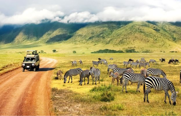 Kenia Urlaub Safari