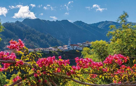 Madeira in style - Eine Perle im Atlantik