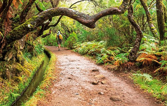 Madeira individuell - der Levada Trek