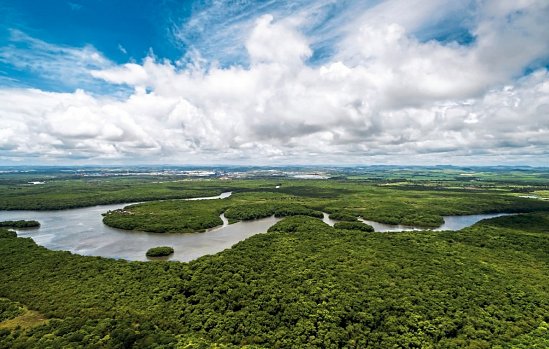 Amazonas ab/bis Miami mit Oceania Insignia