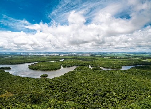 Amazonas ab/bis Miami mit Oceania Insignia