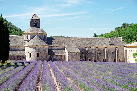 Provence Savoir-vivre - in Frankreichs schönster Region