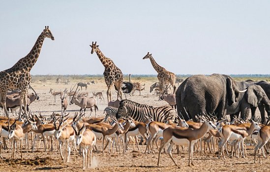 Rundreise Namibia