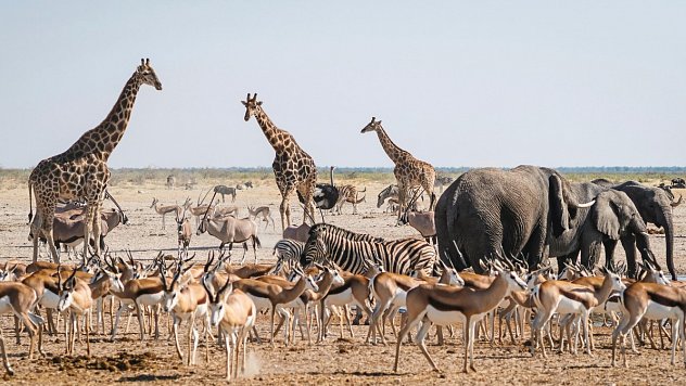 Rundreise Namibia